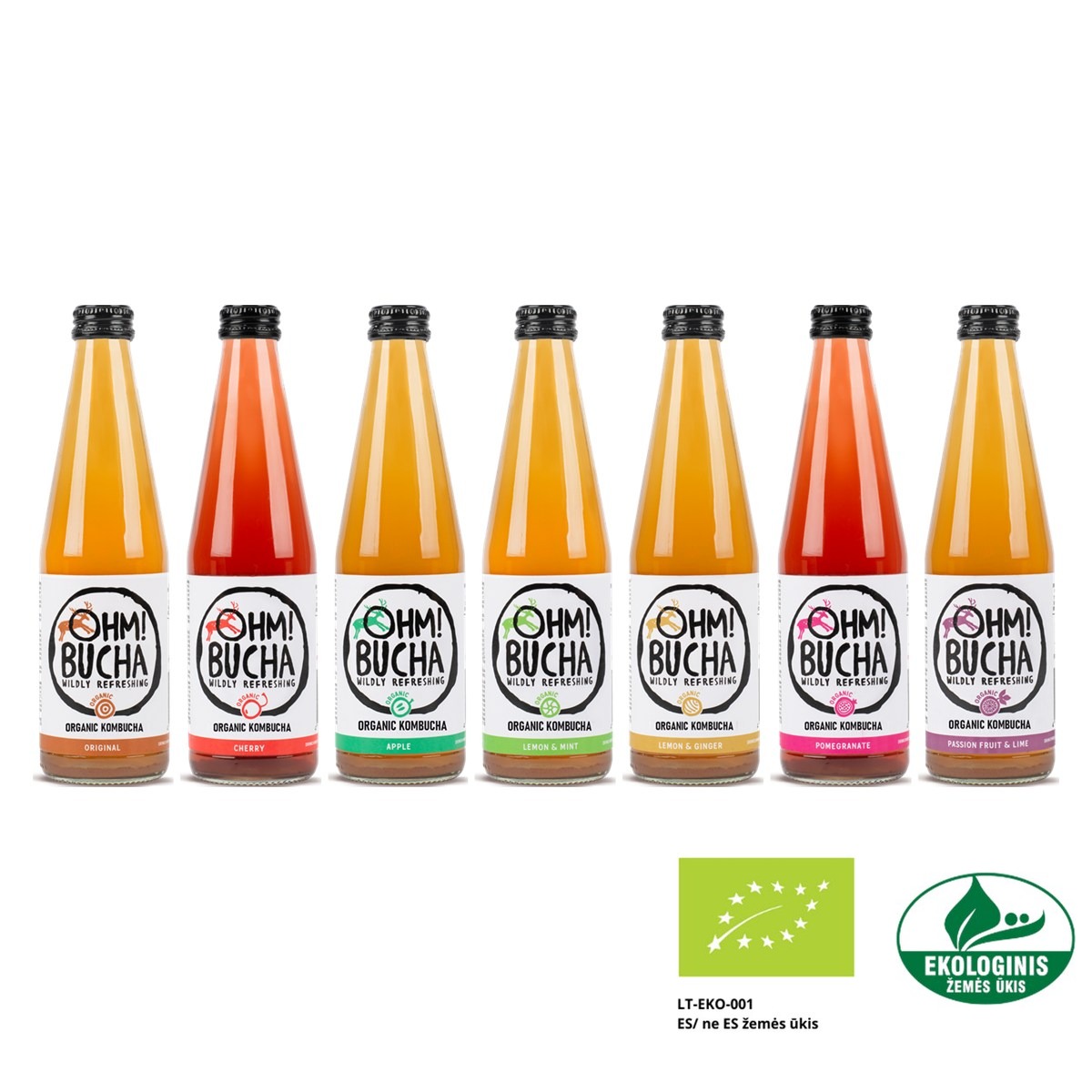 ohm-bucha-350-mix-eko All seven Ohm!Bucha organic kombucha flavours in 350 ml glass bottles